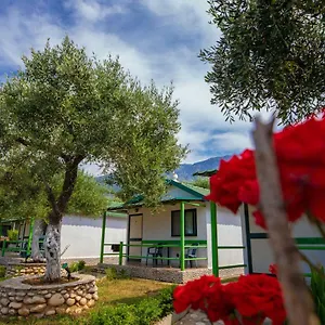 Ambel , Dhërmi Albania